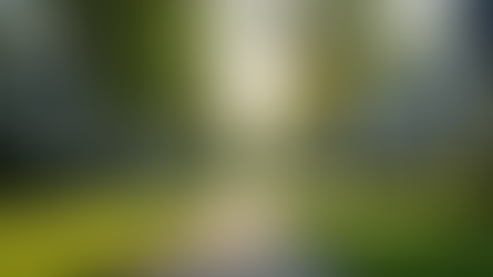 Family Neighborhoods South Florida: Discover the Best Places to Call Home