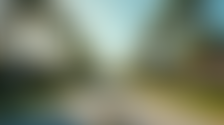 Overcoming Mortgage Approval Challenges in Palmetto Bay: Mortgage Approval Tips