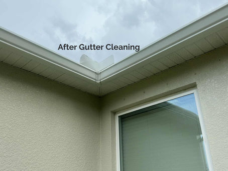 Gutter Cleaning & Patio Deck Transformation—A Day of Service Beyond Pressure Washing in Punta Gorda, Florida