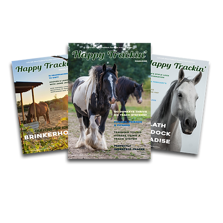 Magazine Issues 2.png