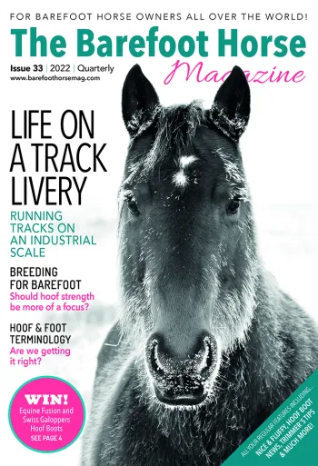 issue-33-cover-small.webp