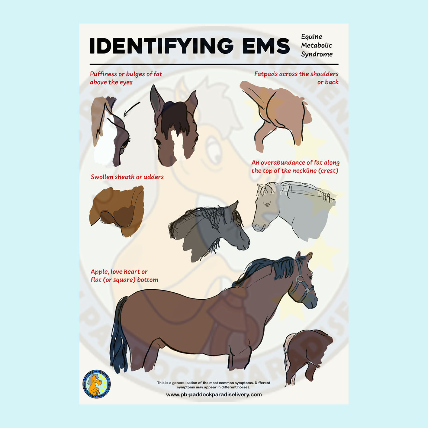 Identifying EMS - Tack Room Poster