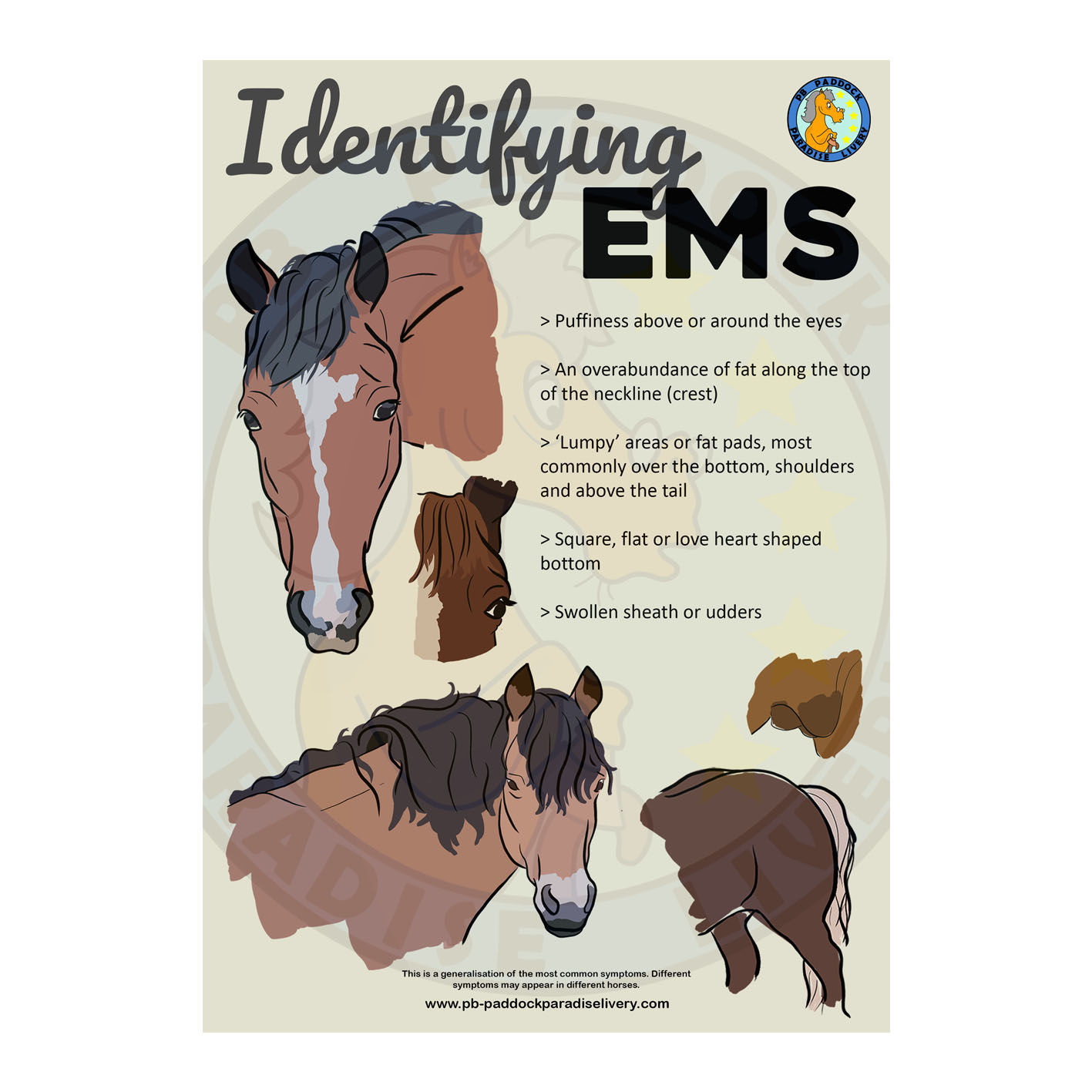 Identifying EMS 2 - Tack Room Poster
