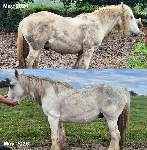 May 24 vs May 26.jpg