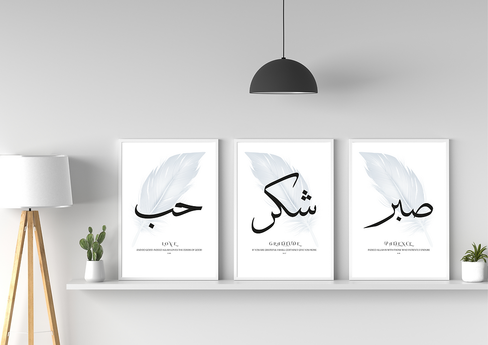 Beautiful Sabr, Hubb, Shukr Feather set of 3 prints