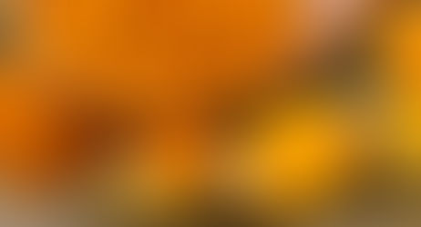 Kylie's Korner Supplement Spotlight: Turmeric