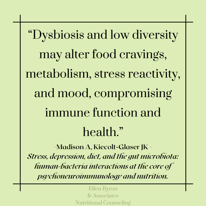 Article Review: Stress, depression, diet, and the gut microbiota