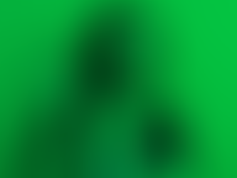 Como o aumento do salário mínimo pode impactar sua vida