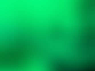 Como contribuir ao INSS como sócio de empresa?