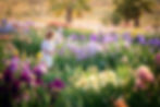 Izzy in the Iris Field 2014.jpg
