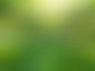 HPリニューアルのお知らせ