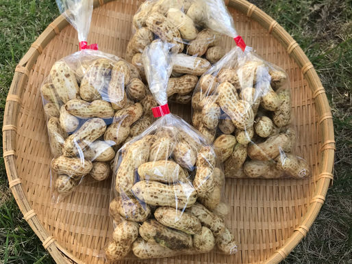 10月の塩山朝市に出店します!