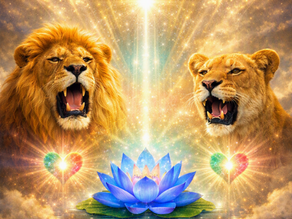 two lions with rainbow hearts and a blue lotus