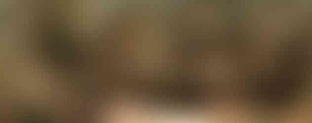 Dahkla Oasis Western Desert