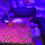 Thumbnail: Romantic Birthday surprise