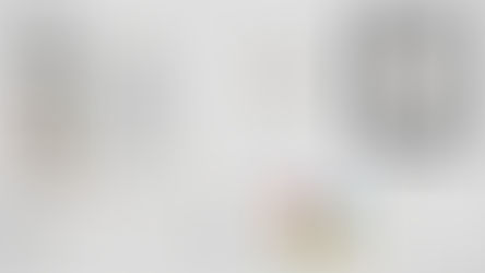 VIRKSOMHEDENS VISUELLE IDENTITET