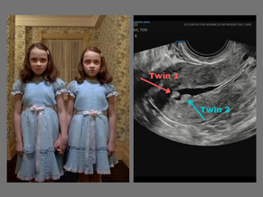 Meet: The Grady Twins