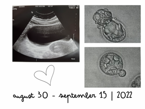 seventeen days.