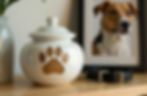 Dog memory with urn