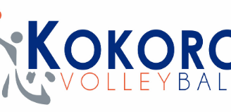 New logo with Blue Kokoro.png