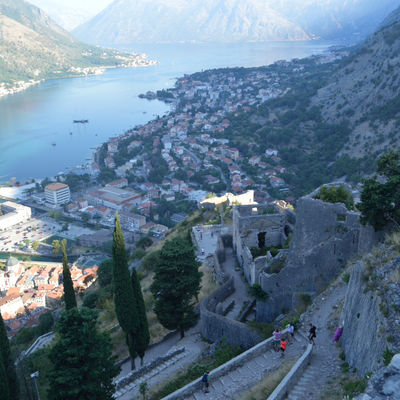 Kotor