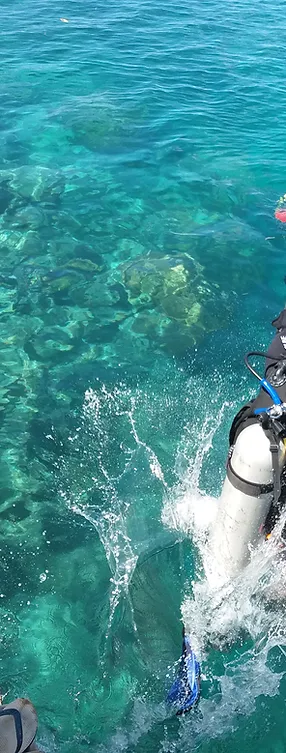 Best Diving In Togean Treehouse Araya Dive Resort Sulawesi Indonesia