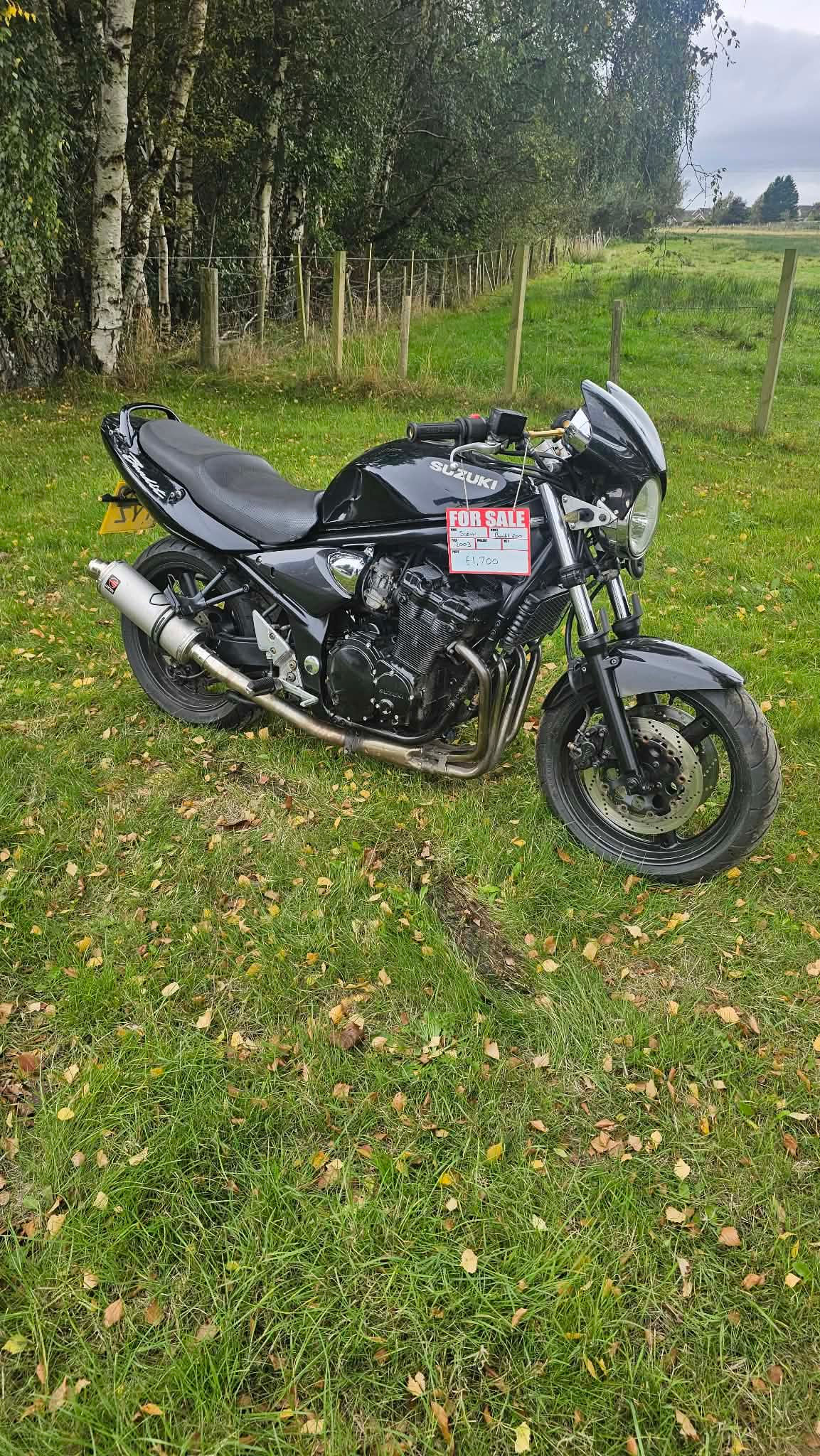 2003 Suzuki Bandit 600