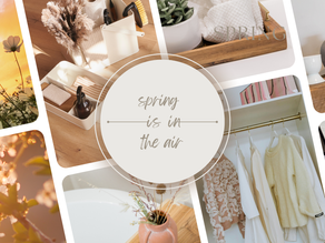 Spring Organizing Tips for a Fresh Start in Denver, Castle Rock, Castle Pines, Parker, and the surrounding areas.