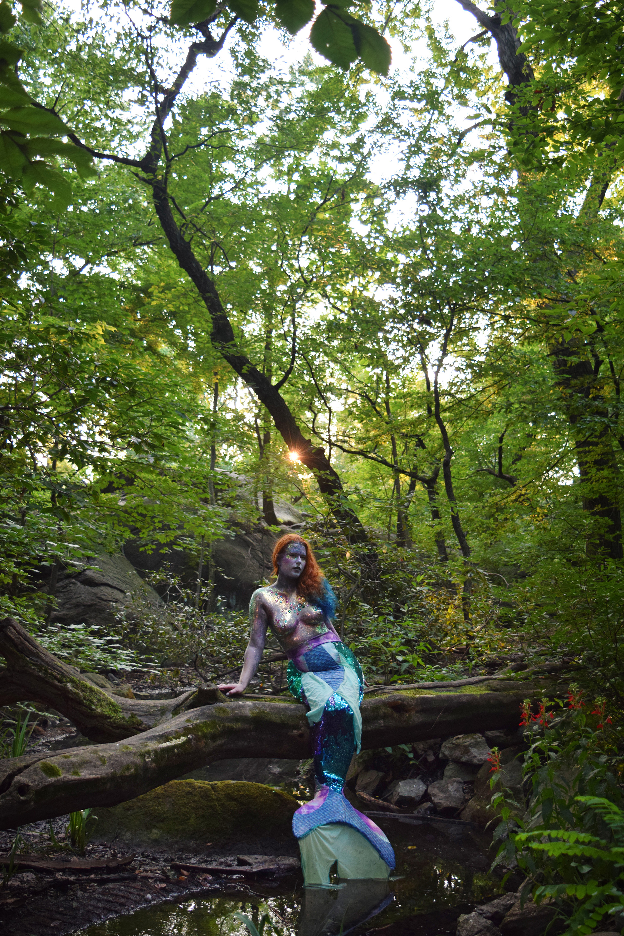 Sunflare