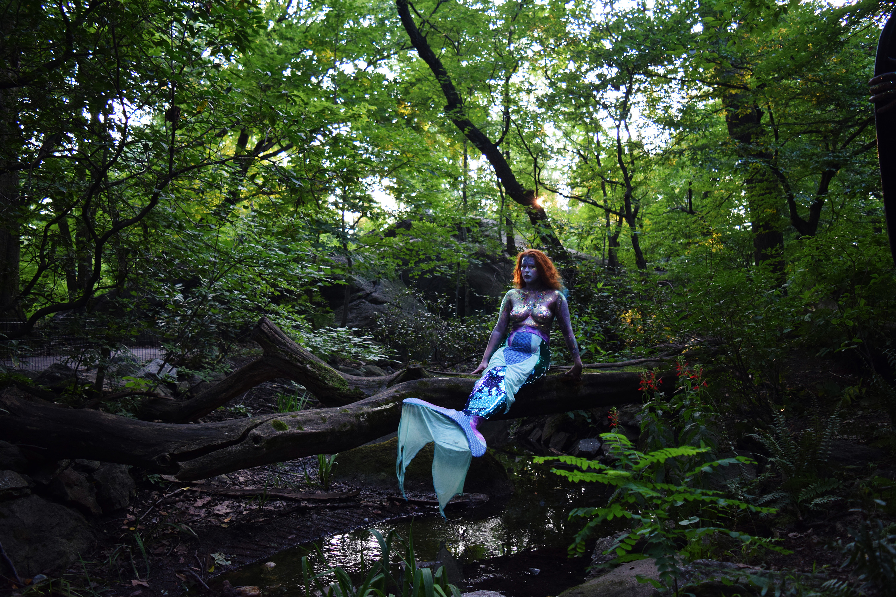 Mermaid in the Woods