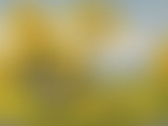 Pasture with cows and chickens and a homestead in the background