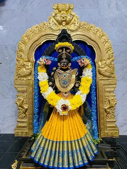 Sri Visalakshi Devi Abhishekam: Morning (1)