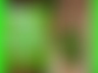Resenha: "Erva Mate Laranjeiras Magic Line - Pura Folha"