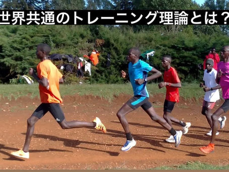 世界共通の純粋なトレーニング理論とは？