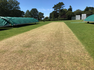 A Wicket Fit for Cricket