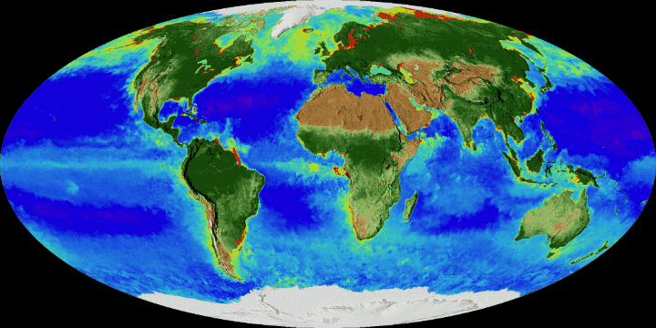 Earth-timelapse-image-NASA-gif-1.gif