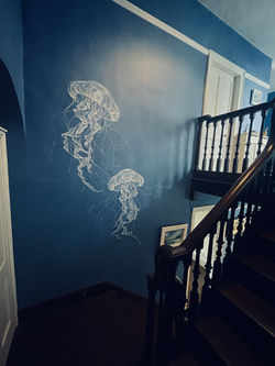 JELLYFISH