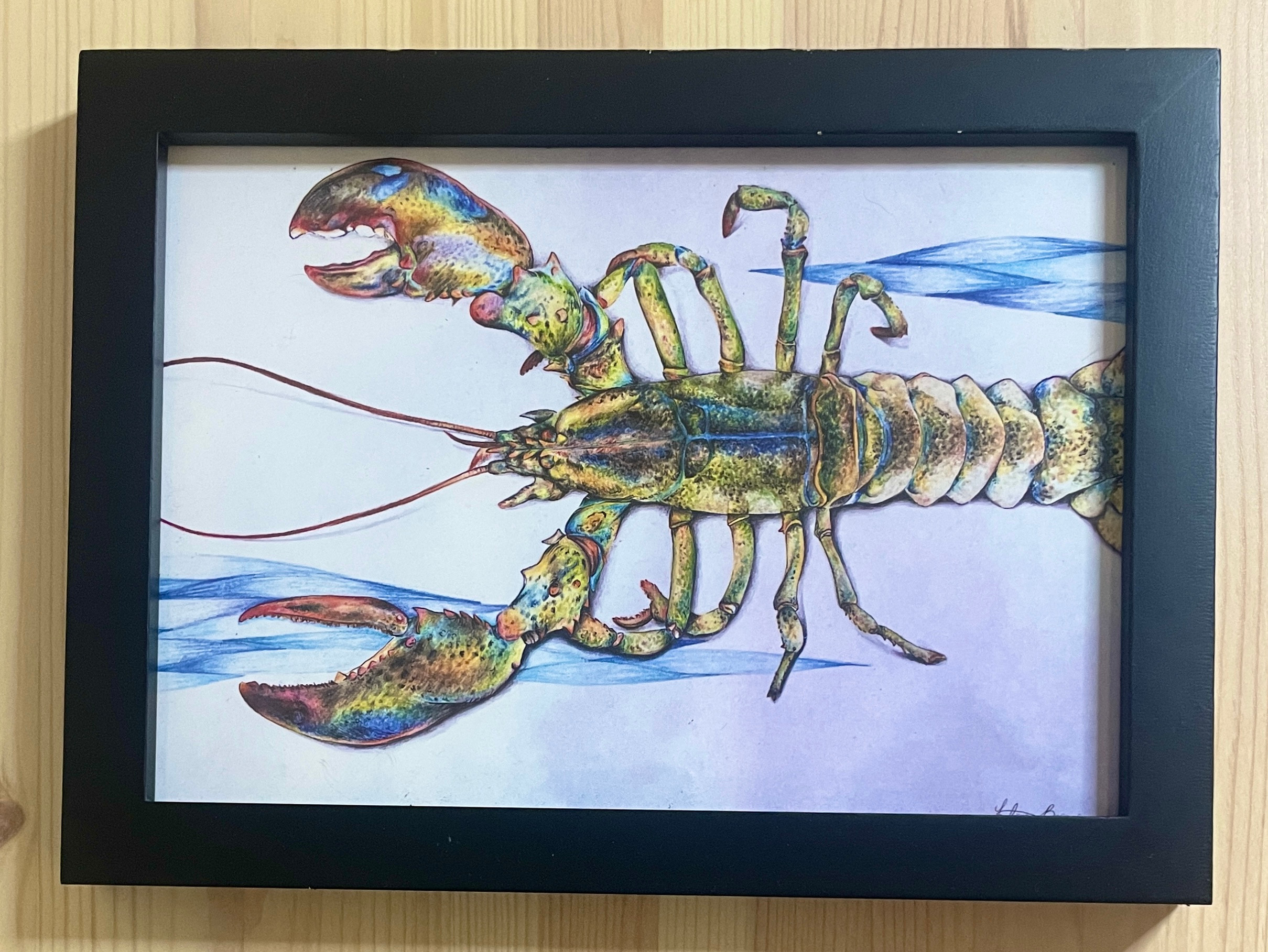 Lobster - A5 Framed Lobster Print