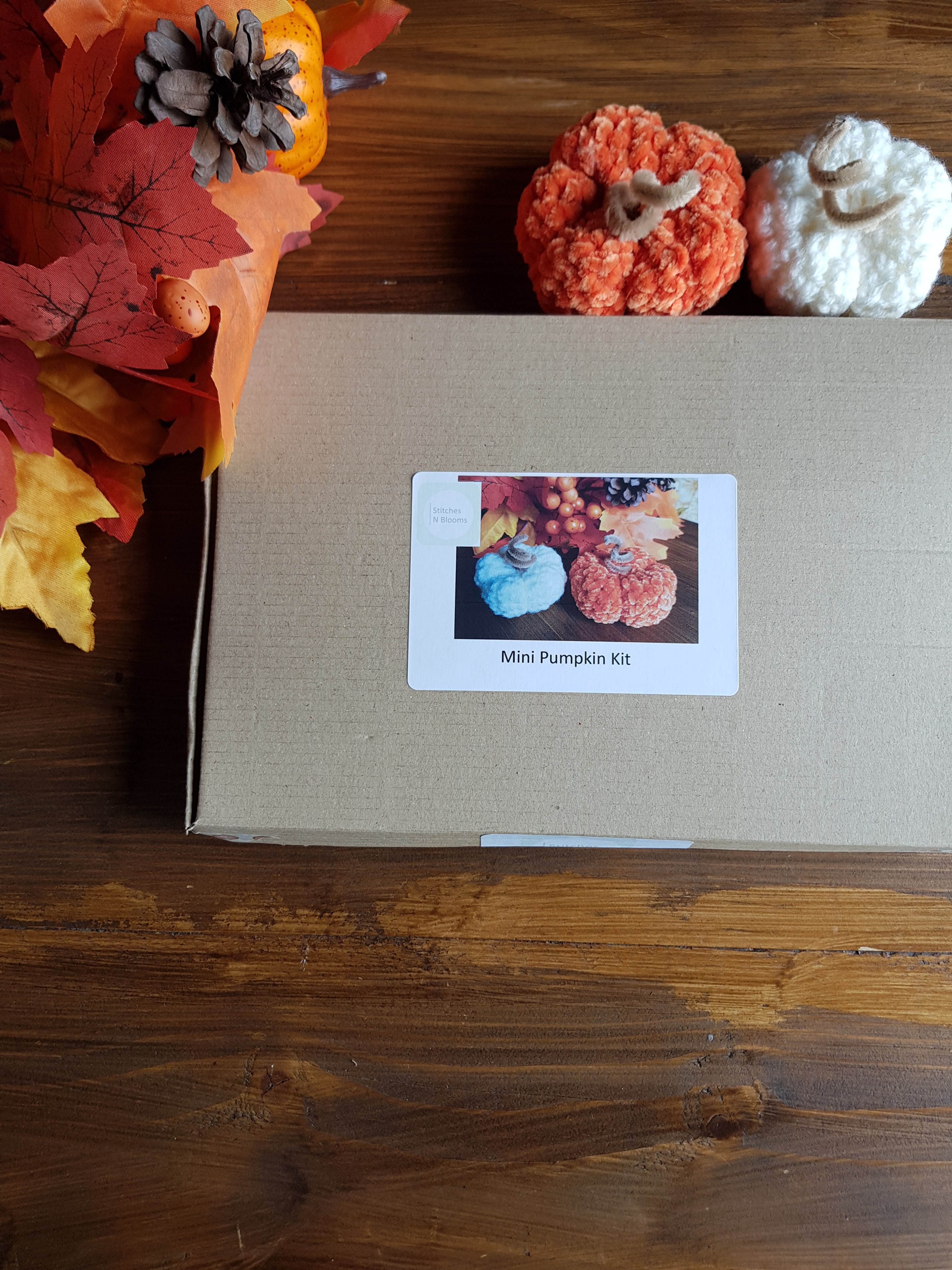 Mini Pumpkin Kit