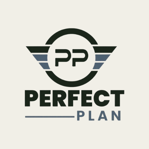 THE PERFECT PLAN.png