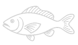 Screenshot_2025-10-10_at_11.14_edited.pn