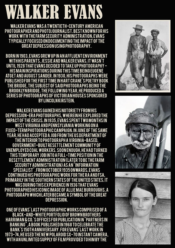 walker evans critical link