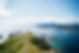 shutterstock_2032904987.jpg