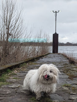 PXL_20210316_105506410 W