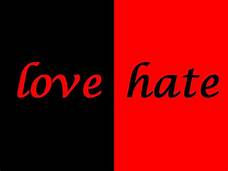 WHY DO WE HATE EACH OTHER SO MUCH?