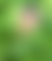 August 18, 2025