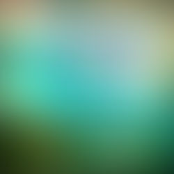 Let your light shine. Be a source of strength and courage. Share your wisdom. Radiate love.