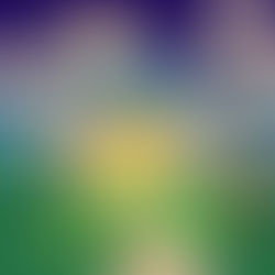 MY VISION