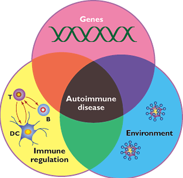 AUTOIMMUNE DISEASES