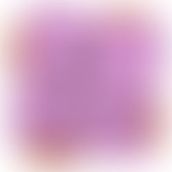 February 5, 2025